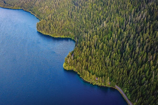 Alex G Perez: Olympic National Park Lake III by Alex G Perez