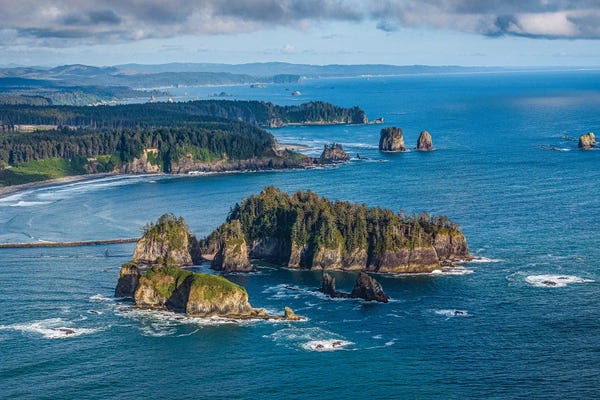 Alex G Perez: Olympic National Park West Coast Beach I by Alex G Perez