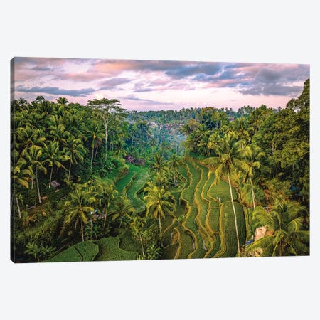 Bali Indonesia Mupu Rice Terrace I Canvas Print #AGP623} by Alex G Perez Art Print