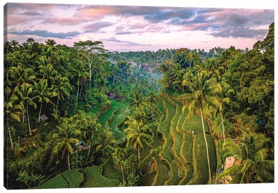 Bali Indonesia Mupu Rice Terrace I Canvas Art Print - Alex G Perez