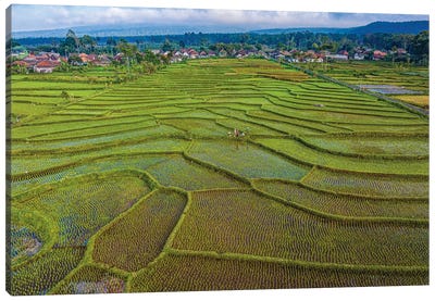 Indonesia Rice Terrace Farm I Canvas Art Print - Indonesia Art