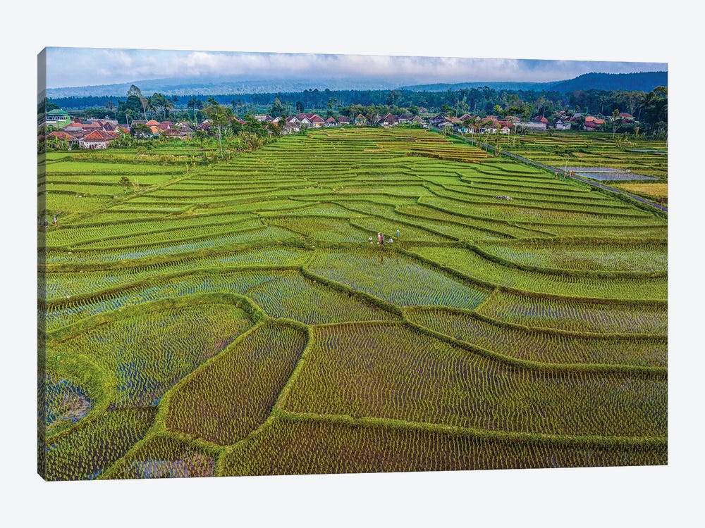 Indonesia Rice Terrace Farm I by Alex G Perez 1-piece Canvas Art Print