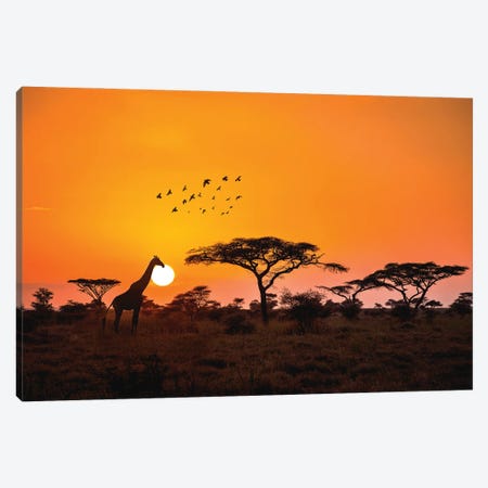 Africa Sunrise And Giraffe Silhouette I Canvas Print #AGP65} by Alex G Perez Canvas Art Print