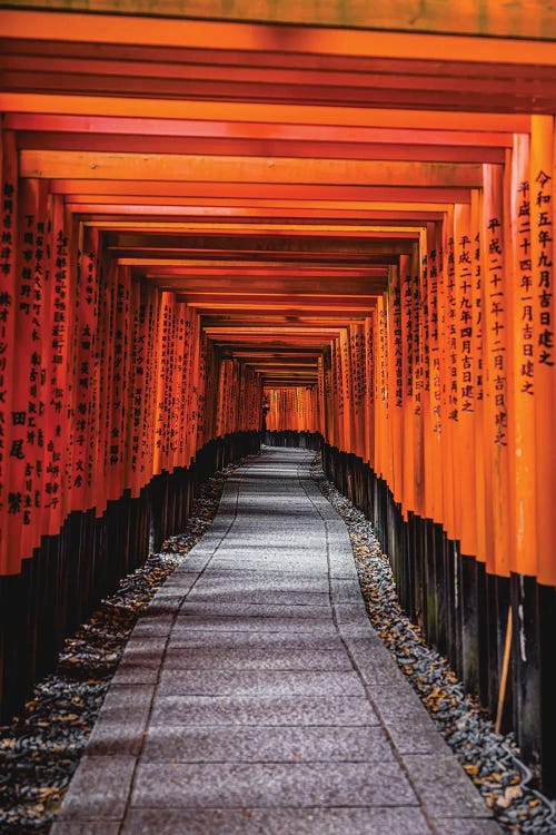 Japan Kyoto Fushimi Inari Taisha Thousand Gates II