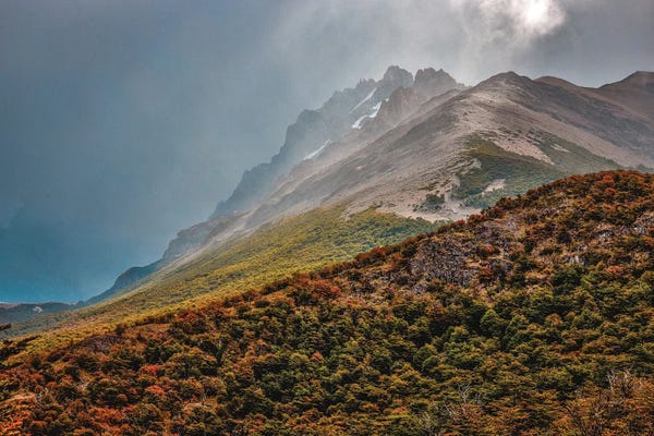Alex G Perez: El Chaltén Fall Hill Side by Alex G Perez