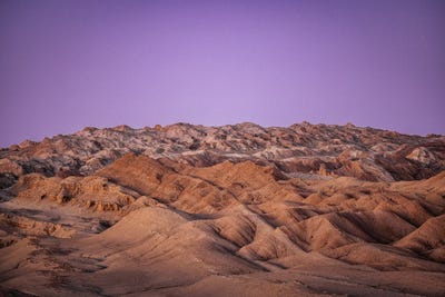 Purple Desert by Alex G Perez canvas print