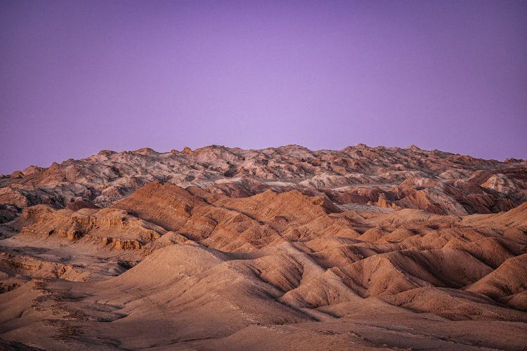 Purple Desert