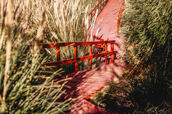 Alex G Perez: Red Walkway by Alex G Perez