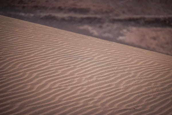 Alex G Perez: Sand Dune Detail by Alex G Perez