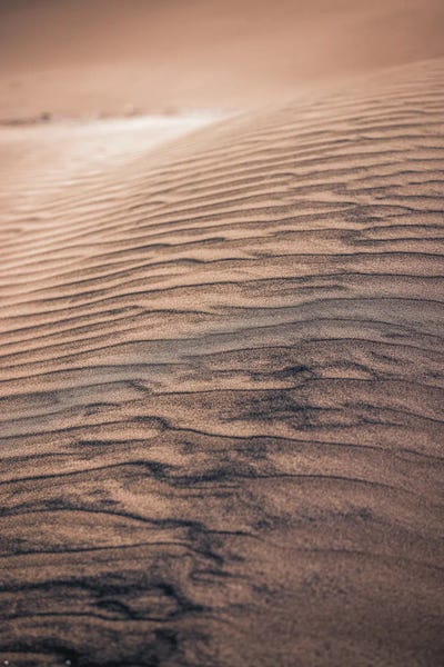 Alex G Perez: Sand Dune Fine Detail I by Alex G Perez