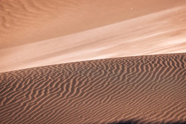 Photography: Sand Dune Fine Detail II by Alex G Perez