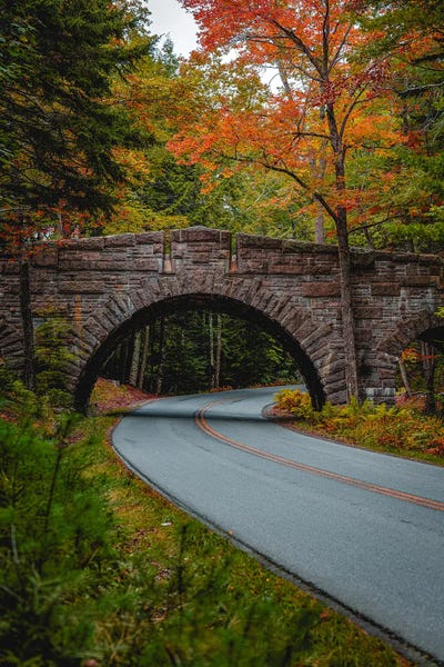 Alex G Perez: Fall Trees Carriage Bridge by Alex G Perez