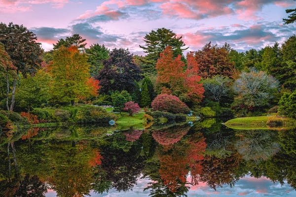 Ponds: Fall Trees Pond Reflection Sunset by Alex G Perez