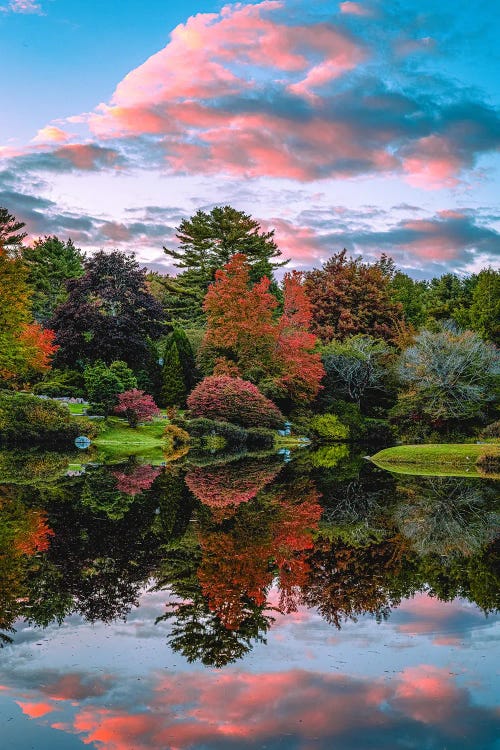 Fall Trees Pond Reflection Sunset View