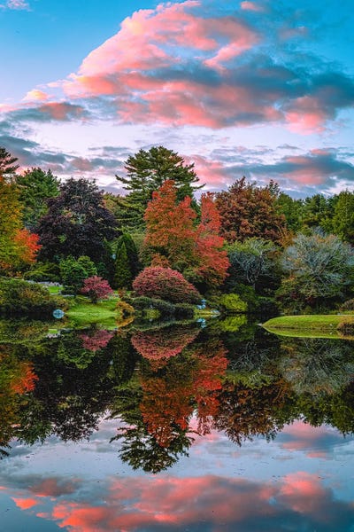 Ponds: Fall Trees Pond Reflection Sunset View by Alex G Perez