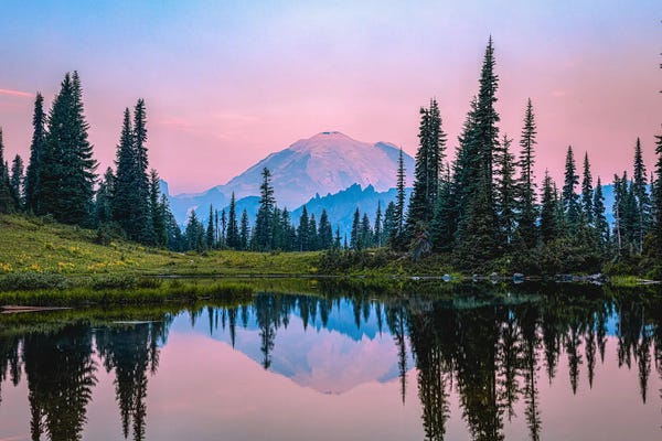 Mount Rainier: Mt Rainier Sunrise Lake Reflection by Alex G Perez
