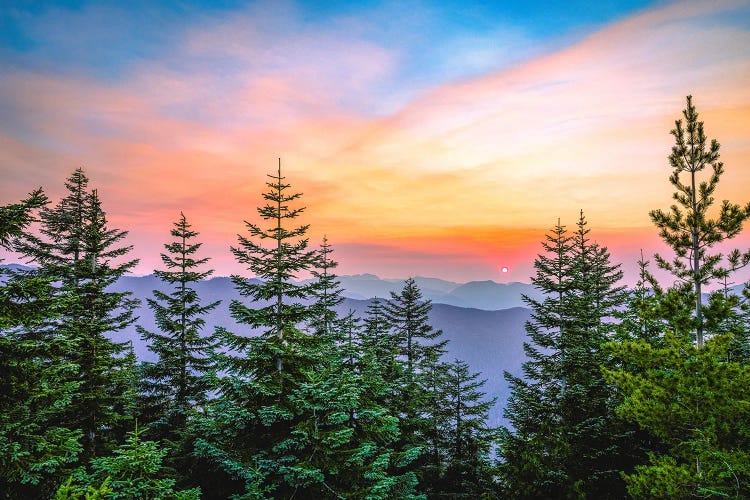 Mt Rainier Sunset by Alex G Perez wall art