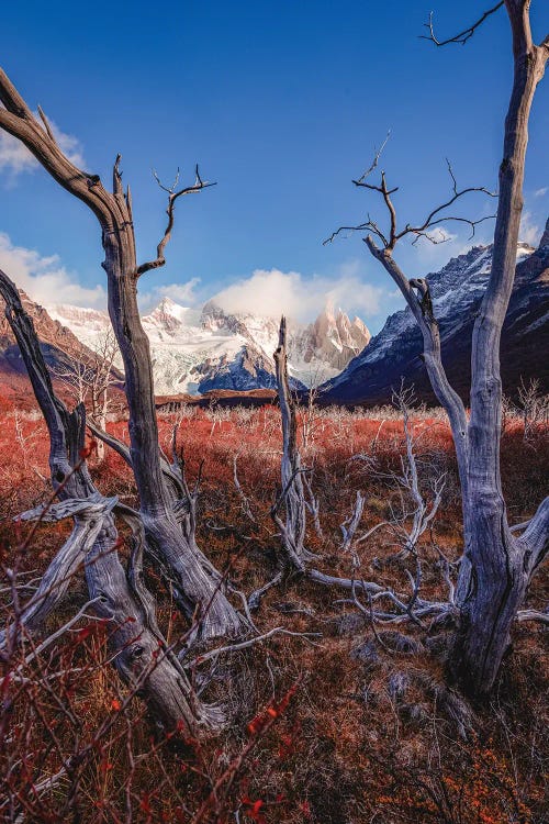 El Chalten Hiking Mountains