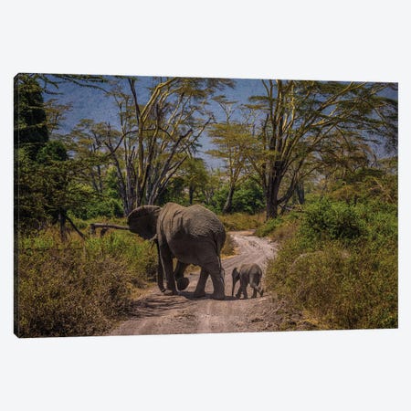 Africa Elephant And Cub II Canvas Print #AGP7} by Alex G Perez Canvas Art Print