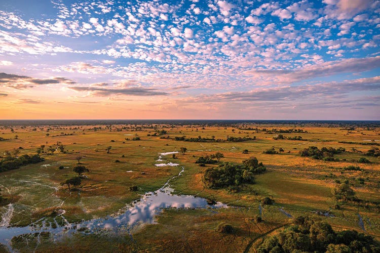 Botswana Safari Delta Sunset