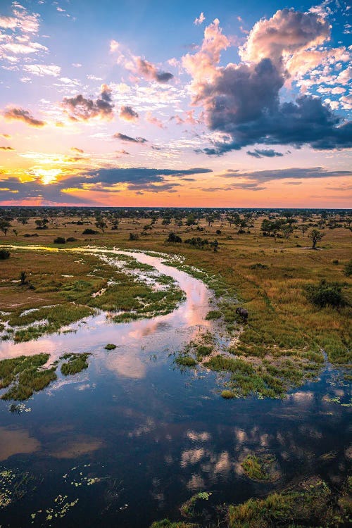 Botswana Safari Delta Golden Hour Sunset