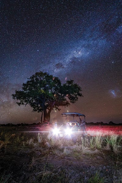 Alex G Perez: Botswana Safari Starry Sky Safari by Alex G Perez