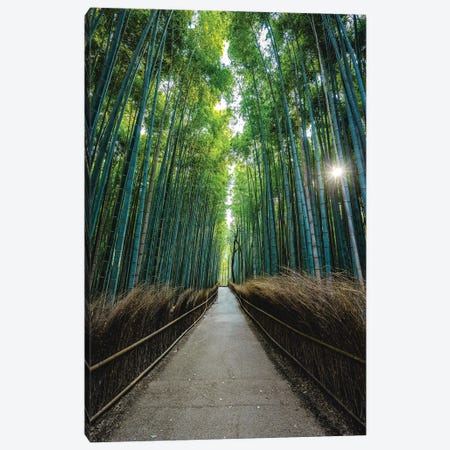 Japan Bamboo Forest I Canvas Print #AGP81} by Alex G Perez Canvas Art
