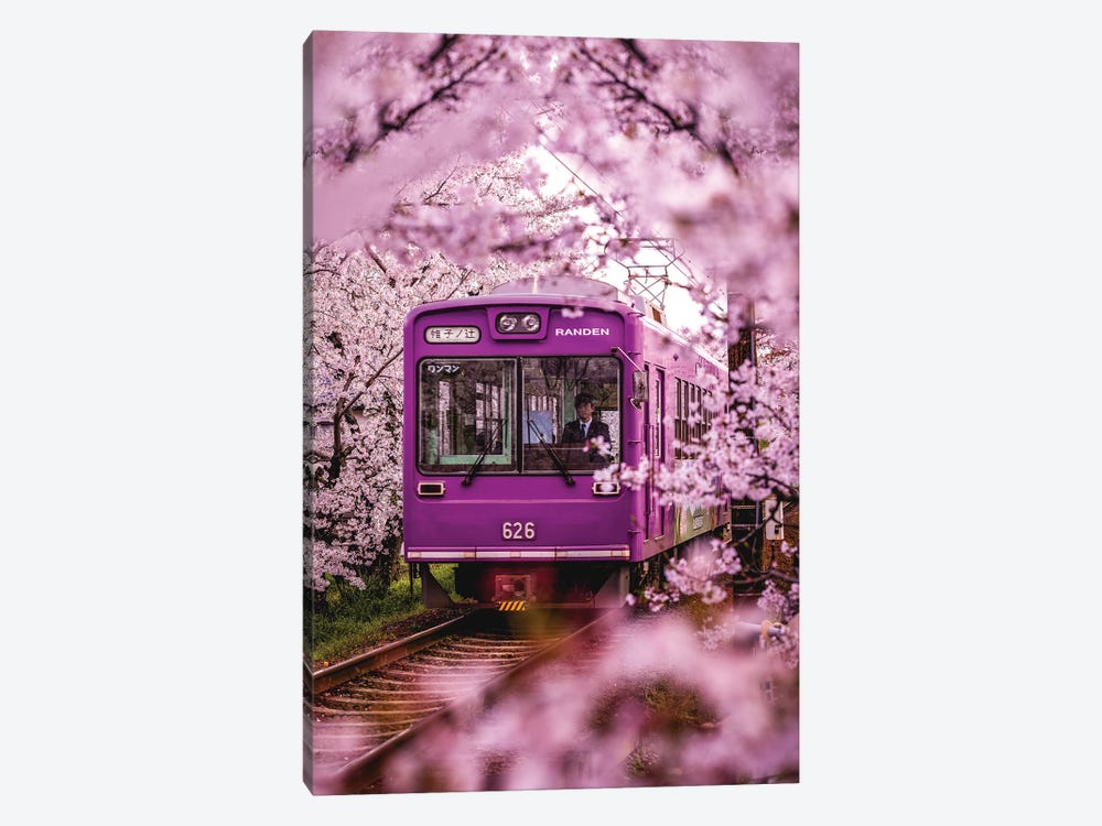 Japan Cherry Blossom Local Train II by Alex G Perez 1-piece Art Print