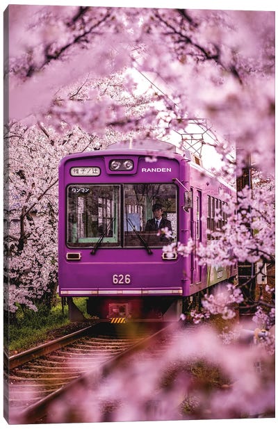 Japan Cherry Blossom Local Train II Canvas Art Print - Blossom Art