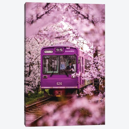Japan Cherry Blossom Local Train II Canvas Print #AGP84} by Alex G Perez Canvas Art Print