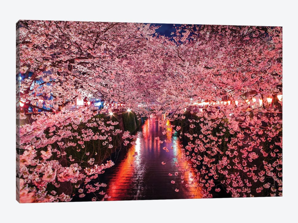 Japan Cherry Blossom River I by Alex G Perez 1-piece Canvas Art Print