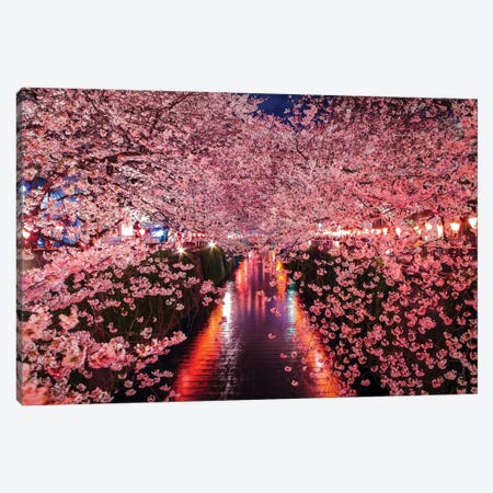Japan Cherry Blossom River I Canvas Print #AGP86} by Alex G Perez Art Print