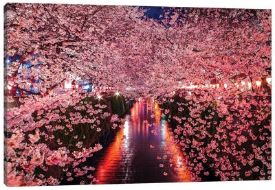 Japan Cherry Blossom River I Canvas Art Print - Alex G Perez