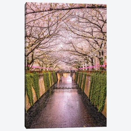Japan Cherry Blossom River II Canvas Print #AGP87} by Alex G Perez Art Print