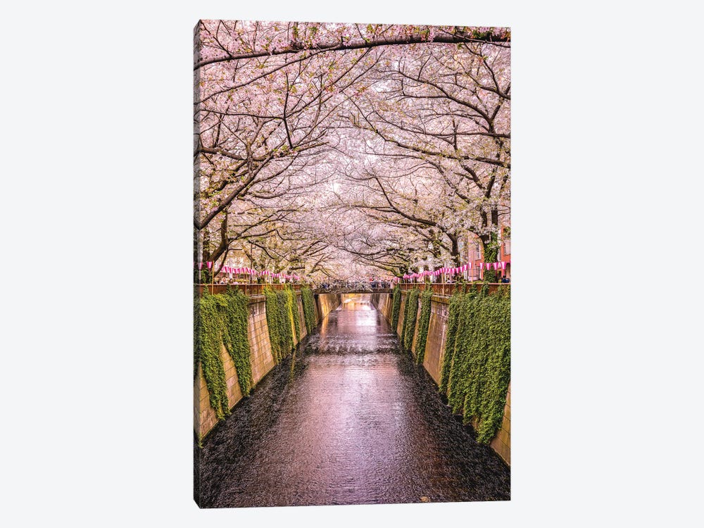 Japan Cherry Blossom River II by Alex G Perez 1-piece Canvas Artwork