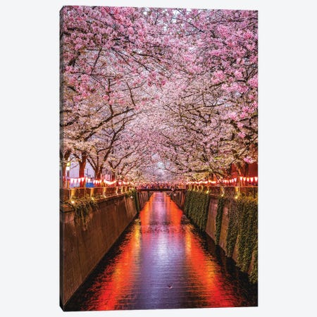 Japan Cherry Blossom River III Canvas Print #AGP88} by Alex G Perez Canvas Wall Art
