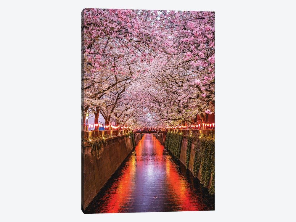 Japan Cherry Blossom River III by Alex G Perez 1-piece Art Print