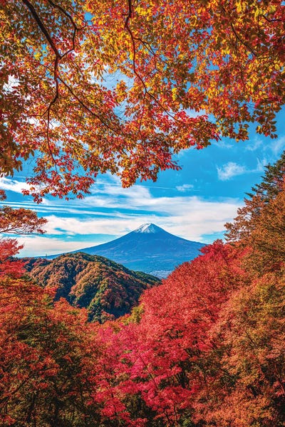 Japan Autumn Mt Fuji Maple Trees by Alex G Perez canvas print