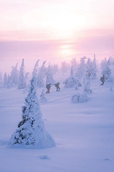 Alex G Perez: Lapland Frozen Arctic Hike by Alex G Perez