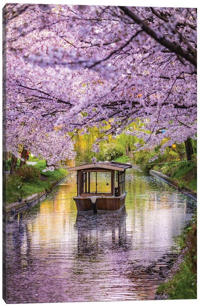 Japan Cherry Blossom River Boat II Canvas Art Print - Cherry Tree Art