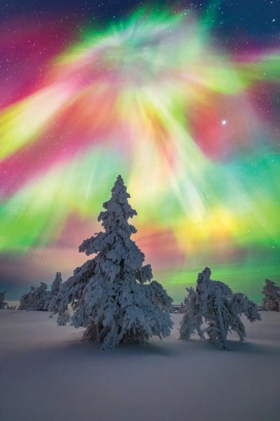 Alex G Perez: Lapland Northern Lights Frozen Arctic Landscape by Alex G Perez