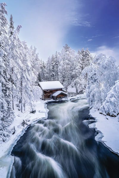 Alex G Perez: Lapland Frozen Arctic Landscape VII by Alex G Perez
