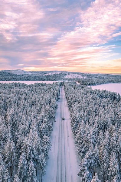 Alex G Perez: Lapland Frozen Arctic Landscape VIII by Alex G Perez