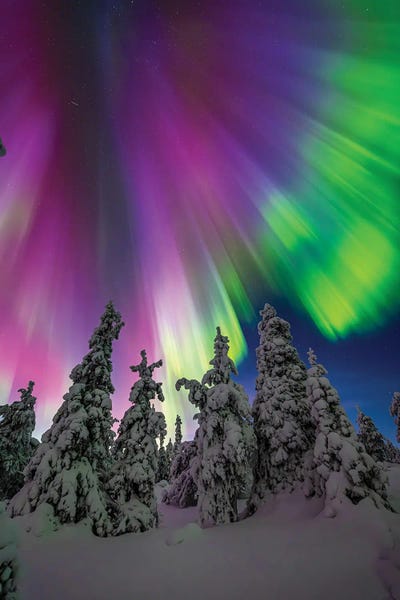 Alex G Perez: Lapland Northern Lights Frozen Arctic Landscape VI by Alex G Perez
