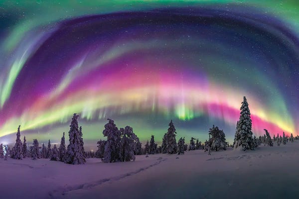 Alex G Perez: Lapland Northern Lights Frozen Arctic Landscape Pano by Alex G Perez
