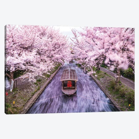 Japan Cherry Blossom River Boat V Canvas Print #AGP94} by Alex G Perez Canvas Art