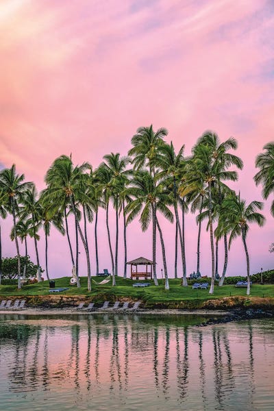 Alex G Perez: Hawaii Palm Tree Sunrise Pink by Alex G Perez