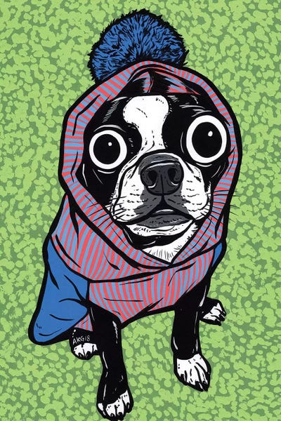 Boston Terrier Pom Sweater by Allyson Gutchell canvas print