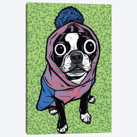 Boston Terrier Pom Sweater Canvas Print #AGU114} by Allyson Gutchell Canvas Art