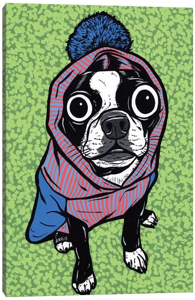 Boston Terrier Pom Sweater Canvas Art Print - Boston Terrier Art